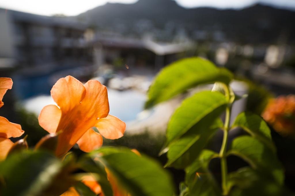 Genc Hotel Bodrum Buitenkant foto